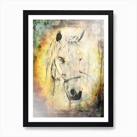 Horse Drawing Art Illustration In A Photomontage Style 06 Art Print