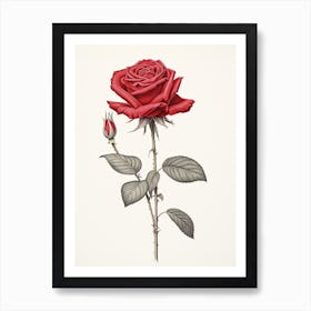 Roses Flower Vintage Botanical 0 Art Print