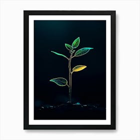 Plant Sprouting On Dark Background Art Print