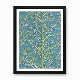 Pagoda Tree 2 tree Vintage Botanical Art Print