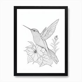 Anna S Hummingbird William Morris Line Drawing 1 Art Print