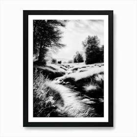 Black And White Of A Stream Art Print