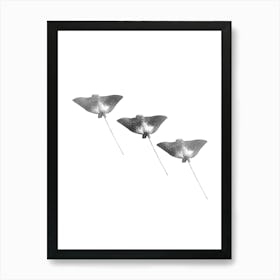 Spotted Eagle Ray Black and White Abstract Minimalist Boho Marine Life Art Print Art Print