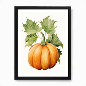 Musque De Provence Pumpkin Watercolour Illustration 1 Art Print