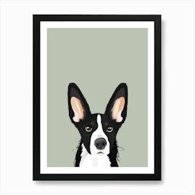 Border Collie 1 Art Print