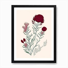 Red Clover Herb William Morris Inspired Line Drawing 2 Art Print