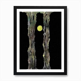 Light between the trees Art Print