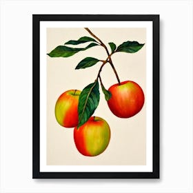 Apple Watercolour Fruit Painting Fruit Art Print