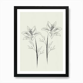 Lily Lines on Paper Art Print