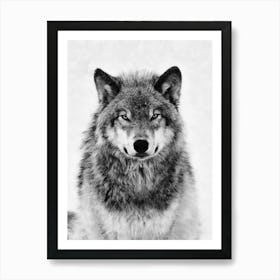 Grey Wolf Art Print