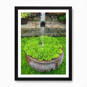 Water Fountain In The Garden Art Print