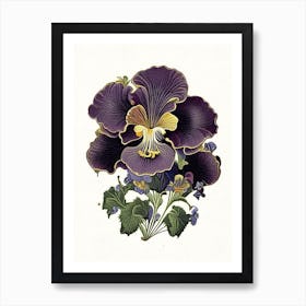 Pansy Floral 2 Botanical Vintage Poster Flower Art Print