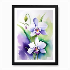 Orchids 6 Art Print