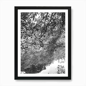 Dappled (bw) Lake View Art Print