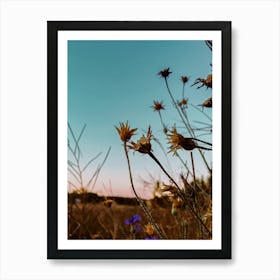 Wildflowers At Dusk Art Print