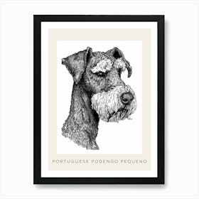 Portuguese Podengo Pequeno Dog Poster 1 Art Print