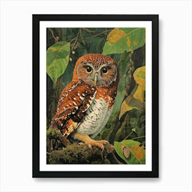 Northern Pygmy Owl Relief Illustration 3 Art Print