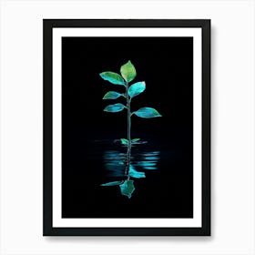 Reflection Of A Leaf In Water Art Print