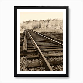 Georgia Railroad Tracks Art Print