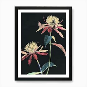 Neon Flowers On Black Globe Amaranth 3 Art Print