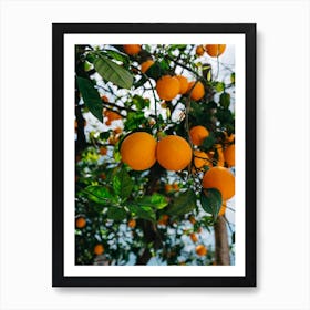 Amalfi Coast Oranges III Art Print