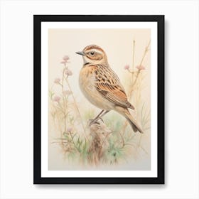 Vintage Bird Drawing Lark 3 Art Print