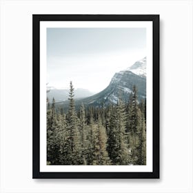 Montana Mountain Forest Art Print