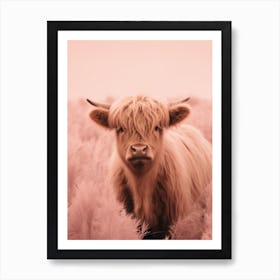 Pink Portrait Of Highland Cow Realistic Photography Style 2 Art Print