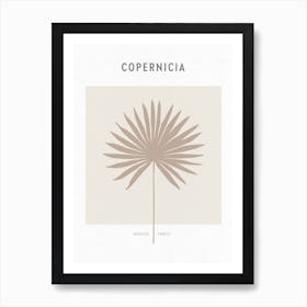 Boho Leaves 1 Copernicia Art Print