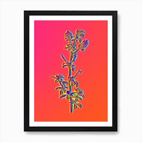 Neon Spanish Clover Bloom Botanical in Hot Pink and Electric Blue n.0108 Art Print