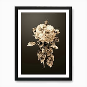 Gold Botanical Giant French Rose on Chocolate Brown n.3100 Art Print