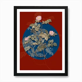 Vintage Botanical Sweetbriar Rose on Circle Blue on Red n.0094 Art Print