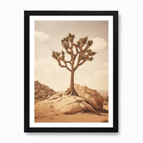  Photograph Of A Joshua Tree In Rocky Landscape 2 Art Print