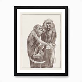 Two Dog Monkeys On Tree Stumps (1878–1917), Theo Van Hoytema Art Print