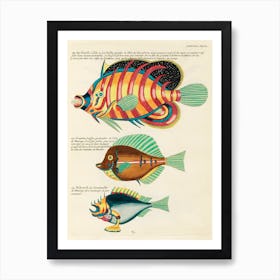 Colourful And Surreal Illustrations Of Fishes Found In Moluccas (Indonesia) And The East Indies, Louis Renard(14) Art Print