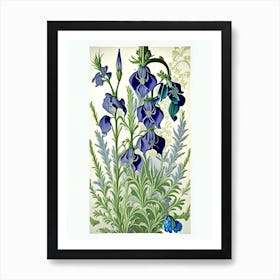 Larkspur Floral 3 Botanical Vintage Poster Flower Art Print