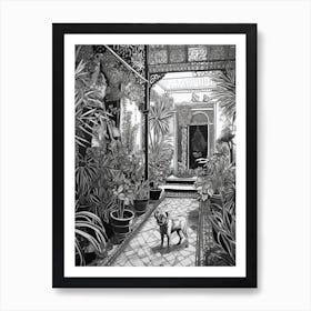 Drawing Of A Dog In Jardin Majorelle Garden, Morocco In The Style Of Black And White Colouring Pages Line Art 04 Art Print