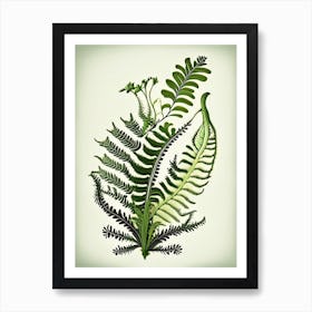 Mountain Spleenwort 1 Vintage Botanical Poster Art Print