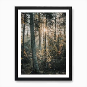 Sun Peeking Through Forest Art Print