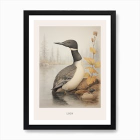 Vintage Bird Drawing Loon 3 Poster Art Print