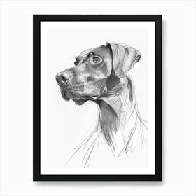 Spaniel Doberman Dog Charcoal Line 1 Póster