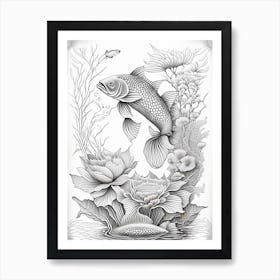 Midorigoi Koi 1, Fish Haeckel Style Illustastration Art Print
