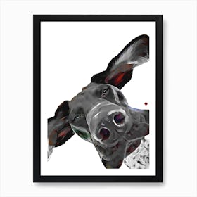 GSP German Shorthaired Pointer Dog Art Print