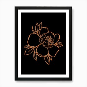 Peony Flower On Black Background Art Print