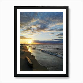 Driftwood On Mikoszewo Beach, Polish Baltic Coast Art Print