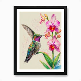 Hummingbird And Orchid Art Print