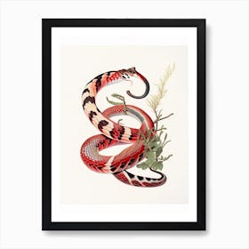 Arizona Coral Snake Vintage Art Print