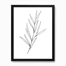 Drawing Of A Branch Art Print
