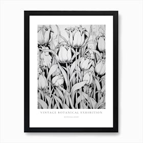 Bleeding Heart B&W Vintage Botanical Poster Art Print