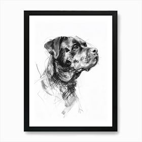 Rottweiler Dog Charcoal Line 2 Art Print